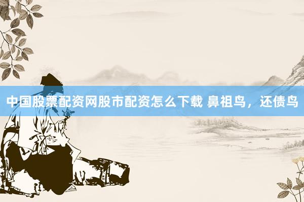 中国股票配资网股市配资怎么下载 鼻祖鸟，还债鸟