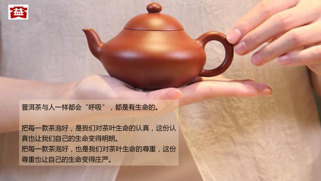 泡茶高手“养成”记——紫砂壶的适茶性