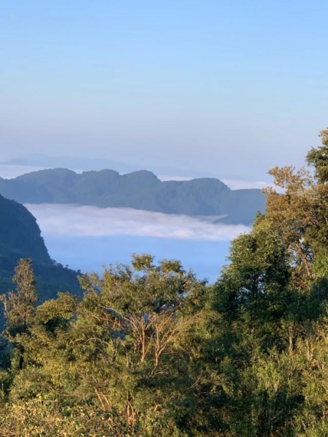 紫砂壶泡茶的缺失