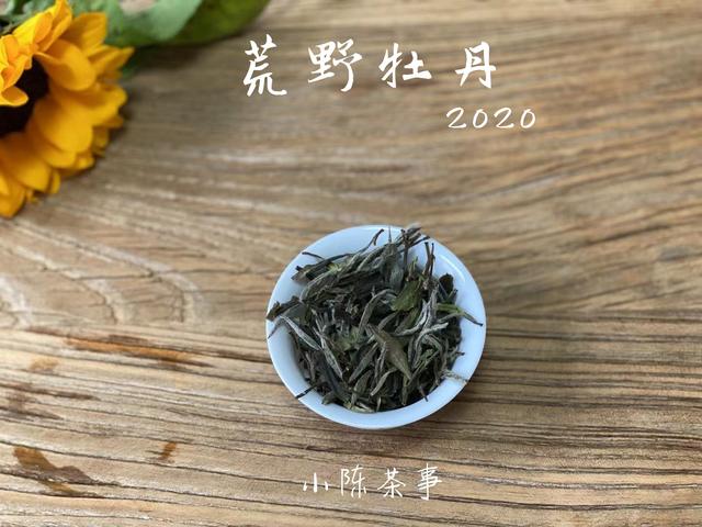 在家存白茶，紫砂罐和铝箔袋哪个更适合？老茶客为你排雷